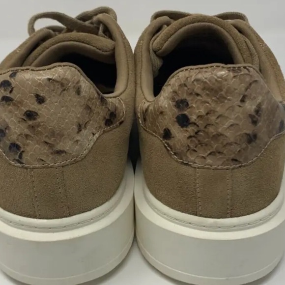 Steve Madden Charlie sneaker - Picture 4 of 6